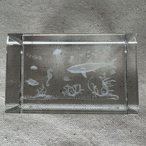 Vintage Glass Etched Laser 3D Image Cube Paperweight Underwater Scene Sea Life